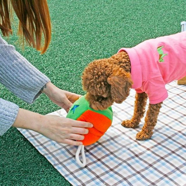 강아지 노즈워크 킁킁 쿠션(대형) 지능발달 정서적안정, 1개