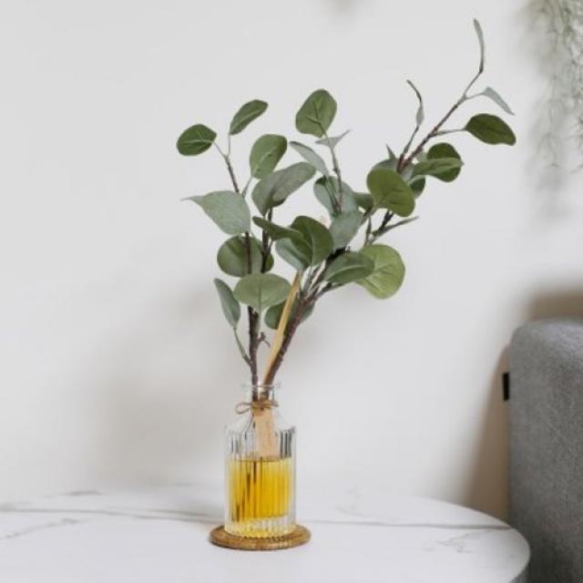 [텐바이텐] 플랜테리어 디퓨저 유카리폴리안 150ml 실내방향제 천연발효주정, 2. Destiny Muguet,추가하지 않을게요,축하카드