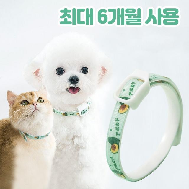 반려사이 강아지 진드기 퇴치제 목걸이 6개월 지속 고양이, S (8kg 까지 착용 가능)