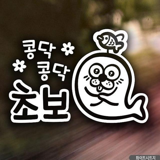 노멜마켓 콩닥콩닥 초보예요 초보운전스티커-화이트 차량용 스티커