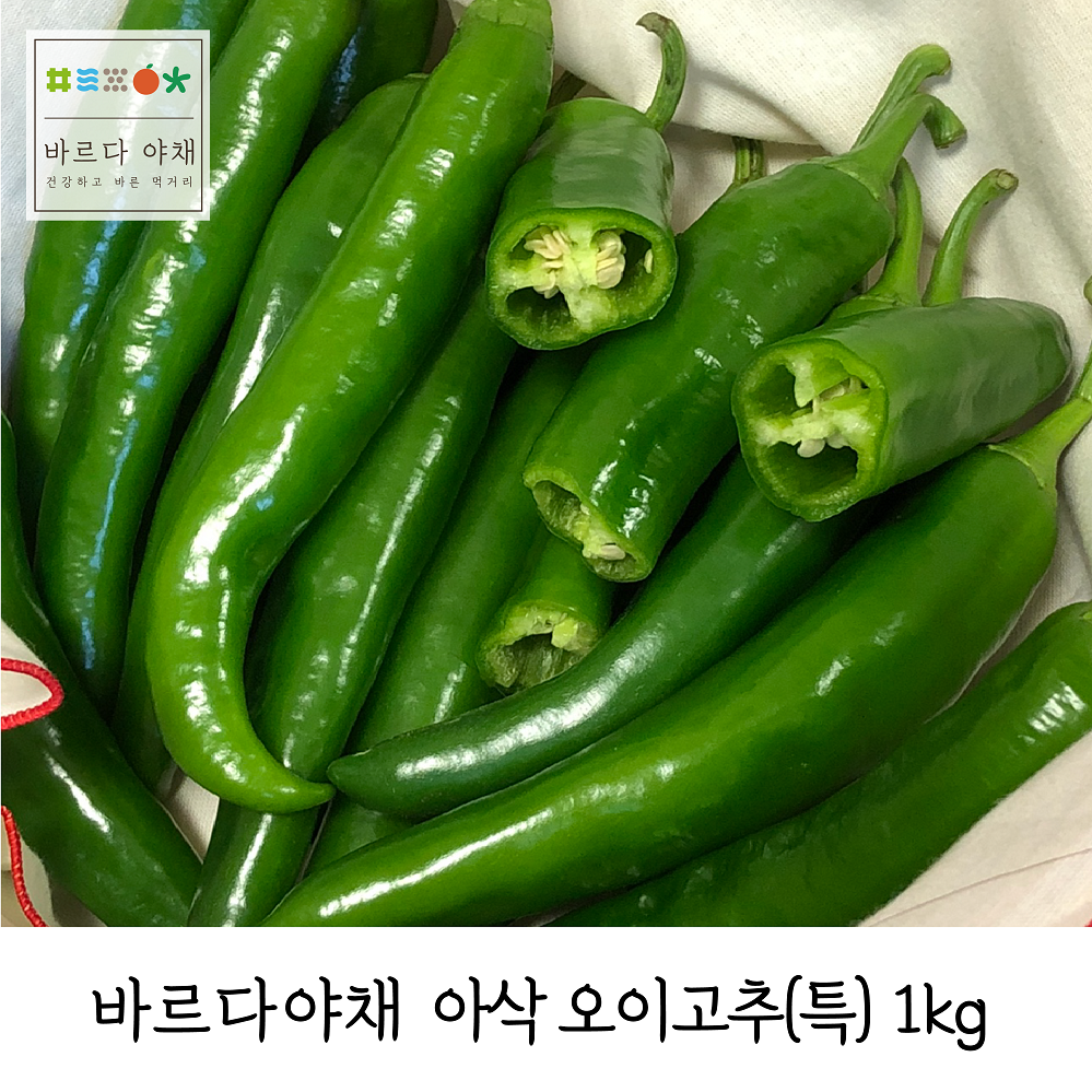 바르다야채 아삭한 오이고추(특) 1kg 5kg 10kg 오이맛고추, 1개