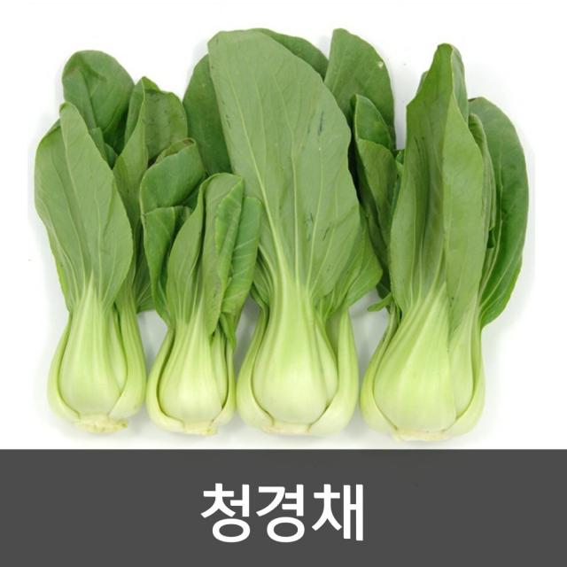 약수농장 국내산 청경채 4kg, 1박스, 4kg