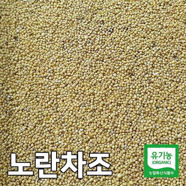 산들바람 국산 유기농 노란 차조 500g, 단일상품