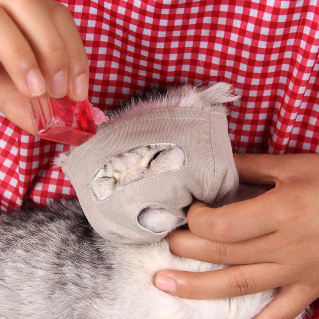 고양이 안전 마스크 반려묘 입막음 입가리개, 브라운코듀로이L