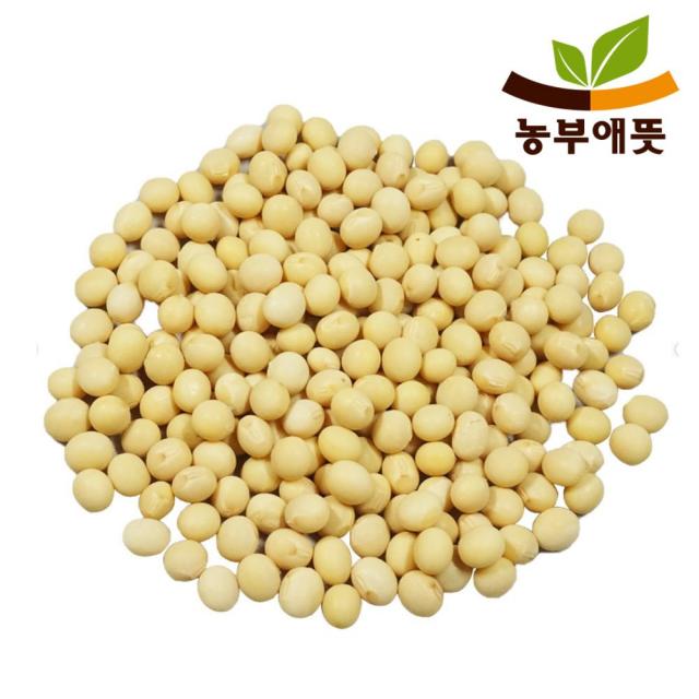 농부애뜻 국산 햇 콩나물콩 노란 콩나물 콩 유태 1팩 500g