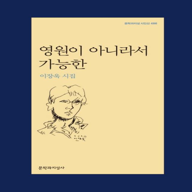 영원이 아니라서 가능한:이장욱 시집 문학과지성사