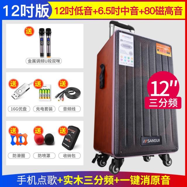 베이스기타 SG4실외 연주 악기 기타 스피커 이동 충전 실외 버스킹 중저음 전문 원목 3부 주파수음향 대출력 플레이어, T11-12inch3부 주파수음향+듀얼무선 오토 주파수 추적 마이크+보내기 U디스크 충전