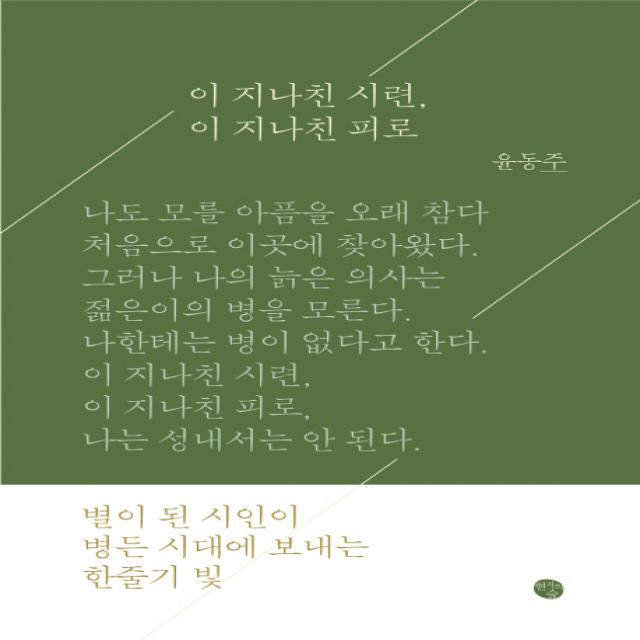 이 지나친 시련 이 지나친 피로 현자의숲