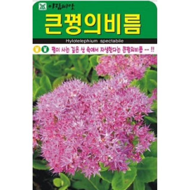 깊은산속에 자생 큰꿩의비름 씨앗(1000립)(A0700)