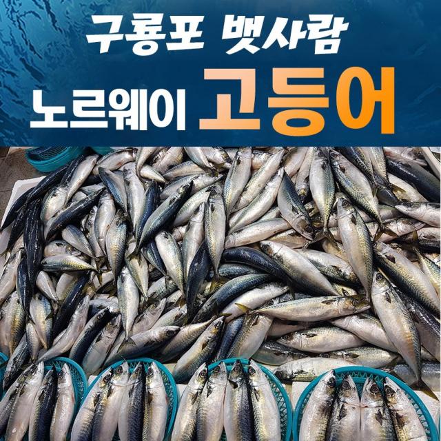 구룡포 뱃사람의 순살 고등어 300g 2미 노르웨이산, 옵션없음