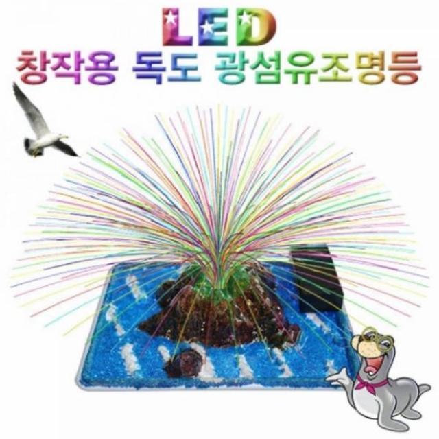 특가존 / QW23744(2개묶음)향앤미과학 LED 창작용 독도 광섬유조명등, 1