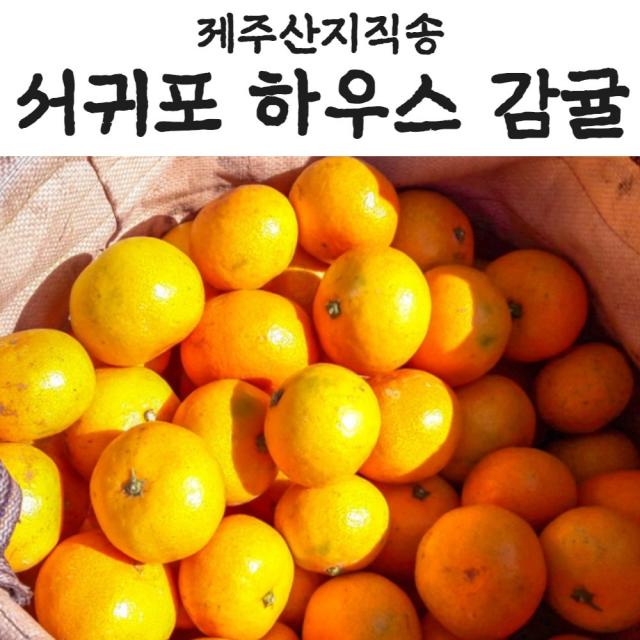 제주산지직송 서귀포감귤 하우스감귤 제주밀감 제주도감귤 비가림감귤 제주도밀감 제주서귀포밀감 하우스감귤, 제주 하우스 감귤 3kg