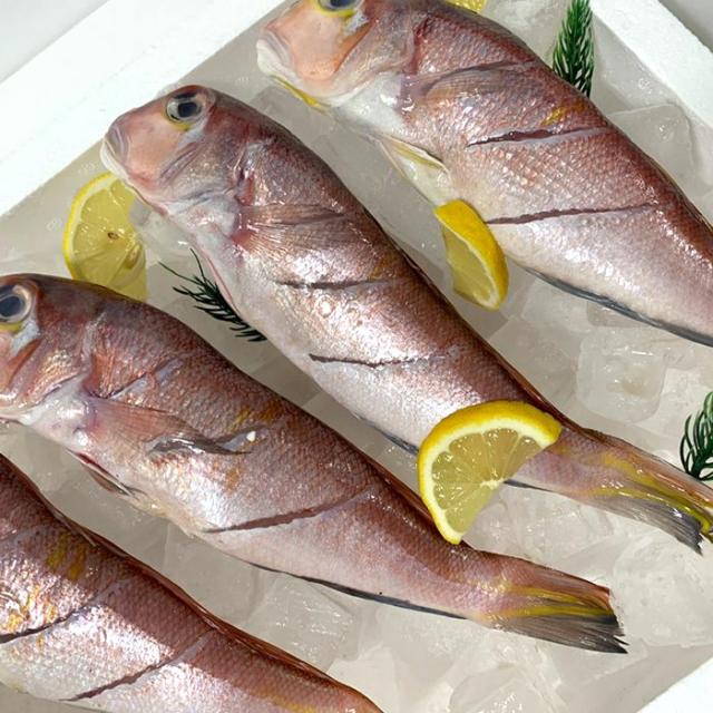 제주 통옥돔 4미 2세트 구매시 2마리, 1개, 제주 통옥돔 4미 (160g내외)