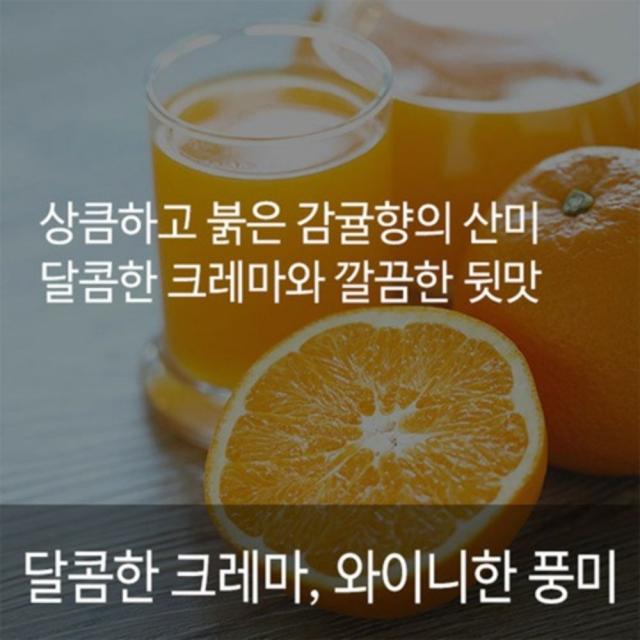 시골커피 코스타리카 따라쥬 SHB 500g 스페셜티 커피 달콤한 크레마 와이니한 풍미 상큼한 감귤향 산미 깔끔한 뒷맛 커피원두100% 카페커피 블랙커피 분쇄안함 홀빈 드립커피 더치 에스프레소 분쇄커피 주문당일 로스팅 신선한 원두 가정 사무실 직장인 선물 추천, 에스프레소분쇄
