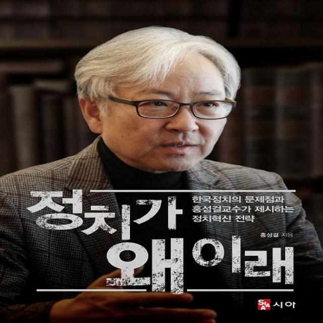 정치가 왜 이래:한국정치의 문제점과 홍성걸 교수가 제시하는 정치혁신 전략, 시아, 홍성걸