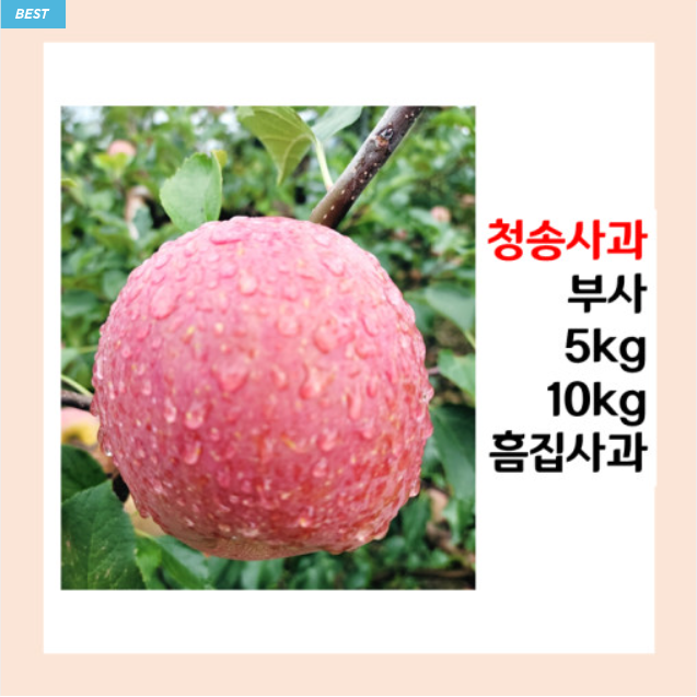 [청송황금사과농장] 청송 친환경 꿀맛 사과 샐러드용 사과 흠집 사과 부사, 5kg(19~20과)