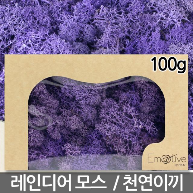 레인디어모스 블루 100g - 천연이끼 이끼 모스 이끼식물 생이끼 파란이끼 파란색이끼 고급이끼, 09_레인디어모스_라벤다(100g)