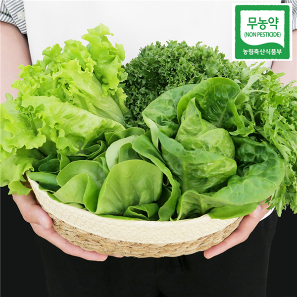 무농약 산지직송 유러피안 샐러드 쌈채소 1kg (3-4종모음/ 단품 선택), 1box, 카이피라 단품(한종류) 1kg