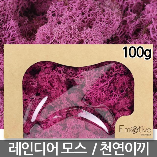 레인디어모스 블루 100g - 천연이끼 이끼 모스 이끼식물 생이끼 파란이끼 파란색이끼 고급이끼, 08_레인디어모스_푸시아(100g)