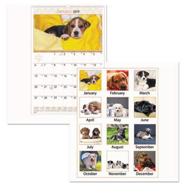 AAGDMW16728 - At-A-Glance Large Puppies Monthly Wall Calendar AAGDMW16728-한눈에 보는 큰 강아지 월별 달력, nullSET