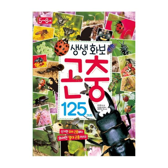 글송이 최강왕 곤충 요괴랭킹 공룡랭킹 공룡 오싹한요괴 놀라운생물 괴기생물 위험생물 공룡배틀 곤충배틀 동물배틀, 생생 화보 곤충 125가지