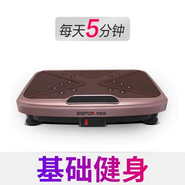 진동운동기 벨트맛사지기 기 운동 진동 가정용 스탠드형 날씬한 덜덜이 흔들흔들 헬스기계, T05-헬스 베이직타입