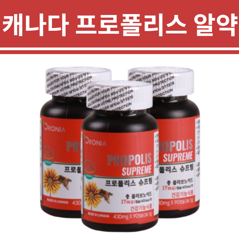 프로폴리스 BEE 푸로폴리스 프리포리스 고함량 분말 알약 캡슐 폴라보노이드 환절기 에좋은 식품