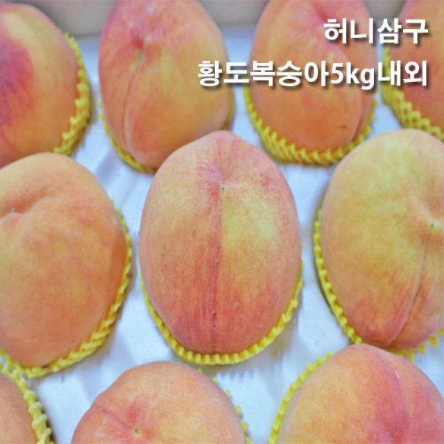 허니삼구 속이노란 황도복숭아 4kg~4.5kg내외, 1박스, 말랑이황도(9-12과)