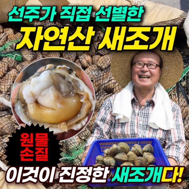 먹사부 [최상급] 노란 새조개 살 손질 생물 원물 샤브샤브 용 황금 500g 1kg 2키로 철 파는곳, 1개