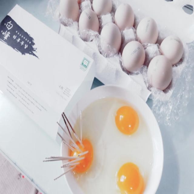 백봉오골계 춘천 농장 유정란(40구)이영자의 초란(친환경 무항생제인증)농장직배송, 1개