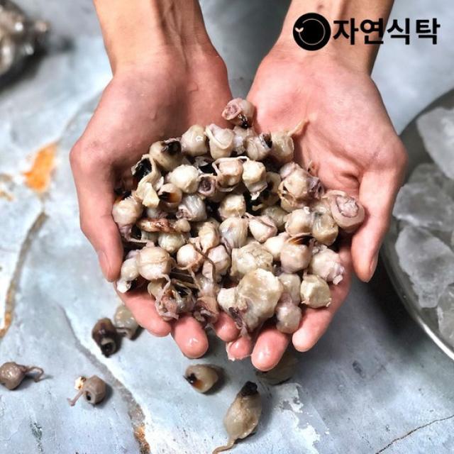  자연식탁 포항 구룡포 국내산 미니오징어입반건조 500g 진공포장 없음 상세설명 참조