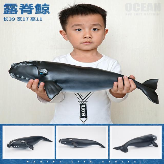 대형 부드러운 고무 해양 생물 피규어 해저 동물 모델 백상아리 상어 거북이 돌고래 어린이 장난감, 능선고래[연고래]개