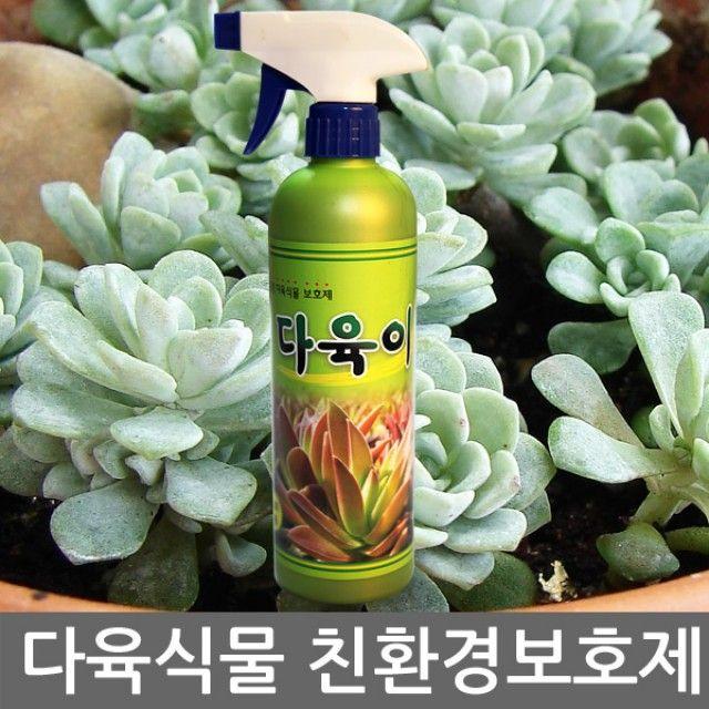 X/P_:다육이500ml 다육식물전용보호제 사람 동물 환경 무해 : FL07C130+SCT