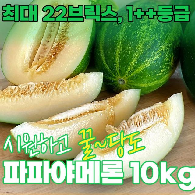 프리미엄 고당도 파파야메론 경북 고령산 일명 개구리참외 멜론 2kg, 프리미엄 파파야 멜론 10kg