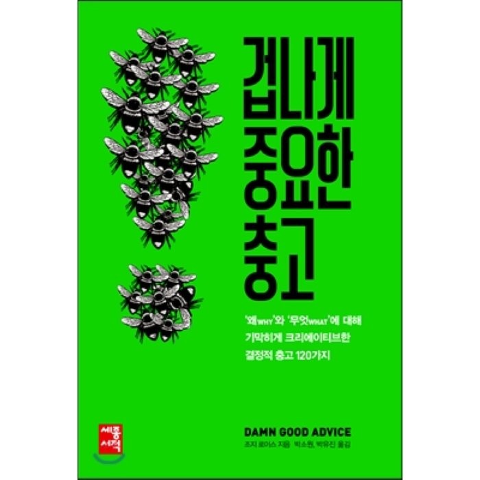 겁나게 중요한 충고:왜why와 무엇what에 대해 기막히게 크리에이티브한 결정적 충고 120가지, 세종서적