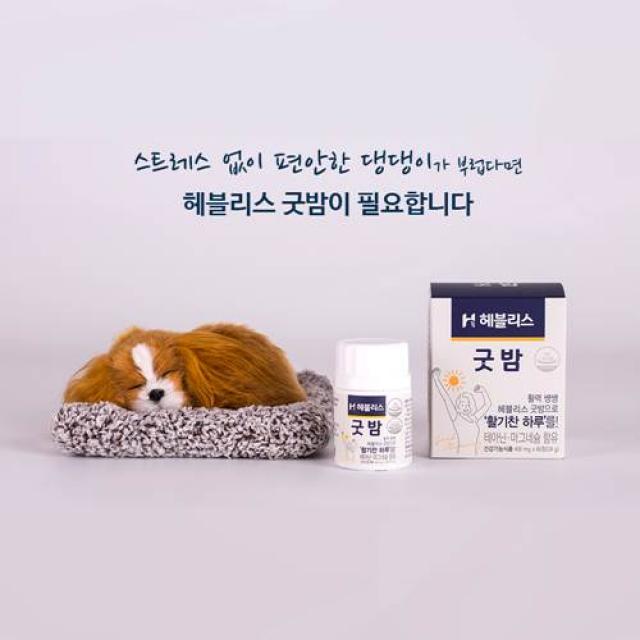 건강기능식품 스트레스 불면 우울 불안 잠잘오는법 잠이안올때 굿밤(60정 2개), 1개