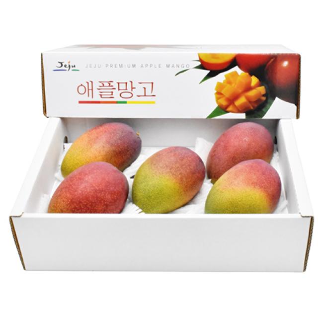 삼다몰 제주 애플망고 3kg, 1박스, 애플망고(왕특대) 3kg(5~6과)