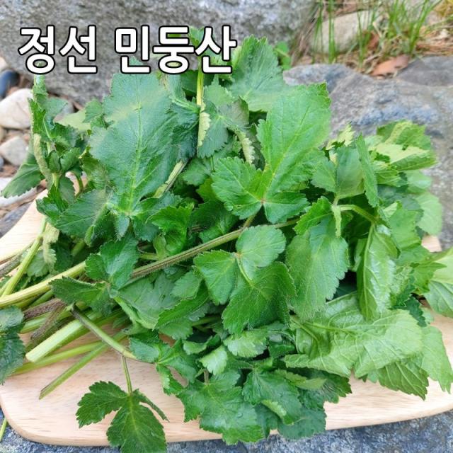 어수리나물 어수리 강원도 정선 민둥산 노지재배 산나물, 어수리나물 1kg