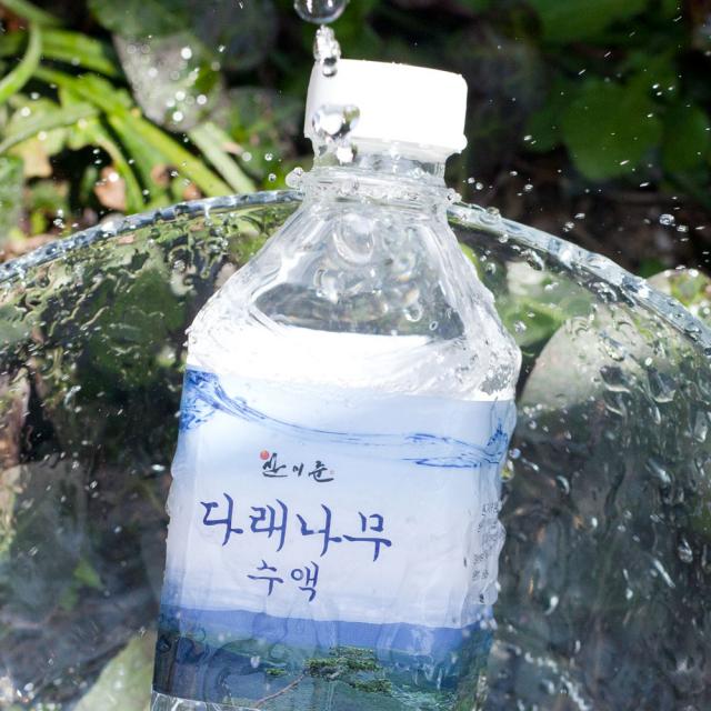 다래수액 다래나무 국내산 자연야생 직접채취, 20병, 500ml