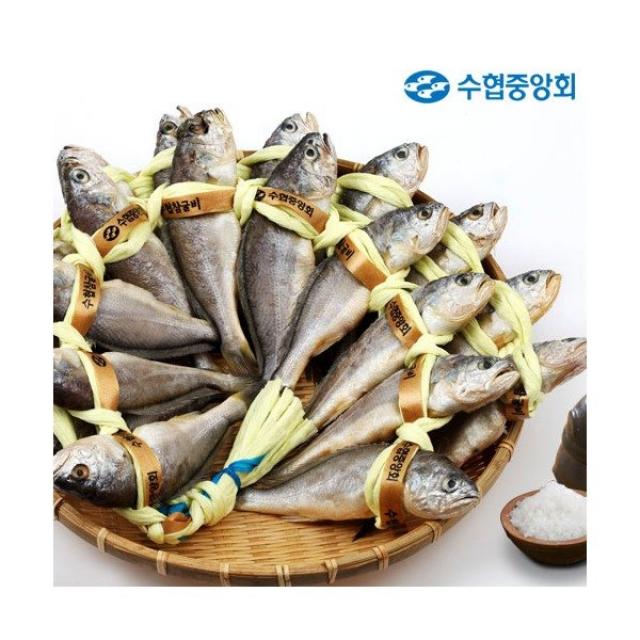 [수협중앙회] [선물세트] 수협 가을장대 실속 굴비세트 1.6kg (1두름/20마리), 상세 설명 참조