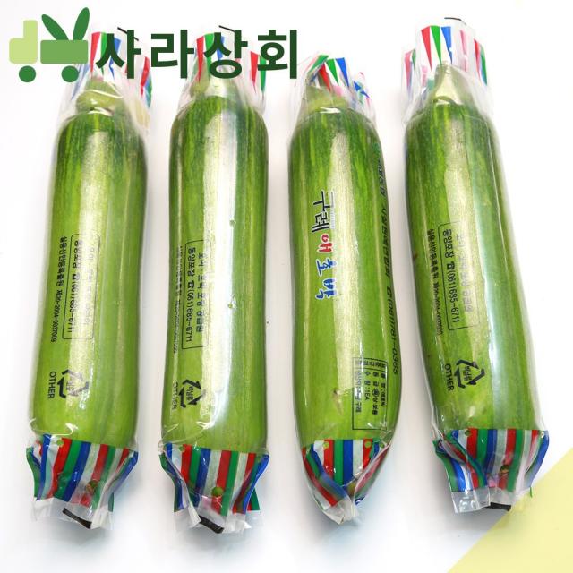 사라상회 인큐 애호박 5개 (특), 1박스, 1Kg