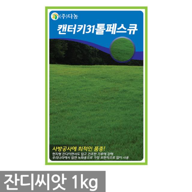 캔터키31톨페스큐 잔디씨앗 1kg - 잔디씨 잔디 씨 씨앗 양잔디 한국잔디 들잔디 경기장 비행장 골프장 공원 목초용 풀씨, 02_다농_캔터키31톨페스큐(1kg)