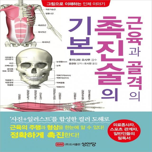 근육과 골격의 촉진술의 기본:의료종사자, 스포츠 관계자, 일반인들의 필독서, 성안당, 후지나와 오사무