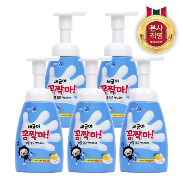 [LG생활건강] 온더바디 세균아 꼼짝마 핸드솝 망고 250ML x 5개, 상세 설명 참조