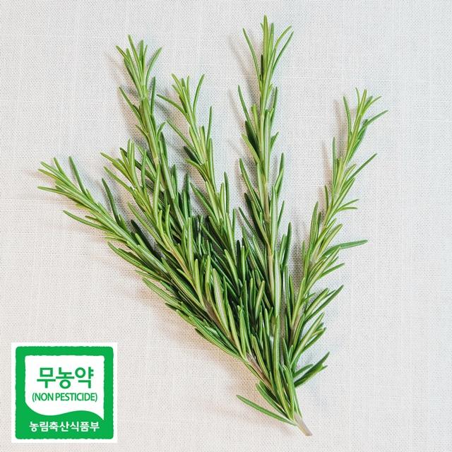데코용로즈마리 생잎 허브 가니쉬 로즈마리 (짧은길이)50g~, 100g