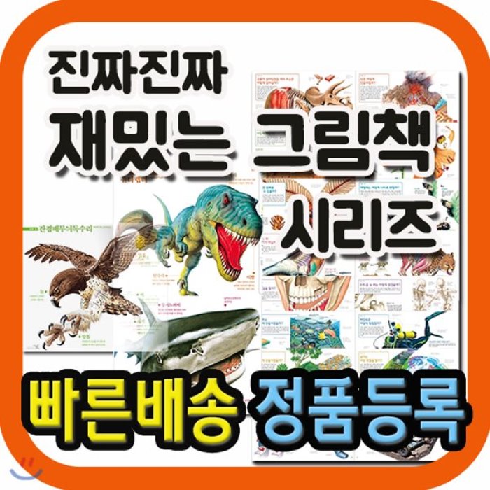 [전집]진짜진짜 재밌는 그림책 전12권 : 바다 공룡 파충류 육식동물 곤충 거미 동물 자동차 멸종위기동물 신기한 동물그림책 진화그림책 공룡 완전판, 부즈펌(전집)