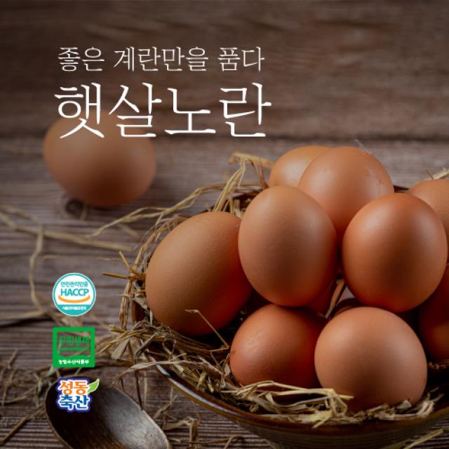  햇살노란 식품안전관리인증 Haccp 친환경 무항생제계란 특란30구 30구