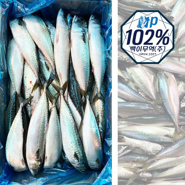 국내산 고등어 10kg, 35-40마리