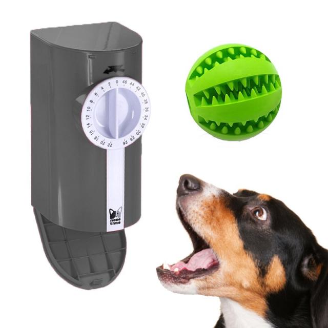 노즈워크 타이머 - 혼자 있는 아이들을 위한 자동 노즈워킹 강아지장난감, 1개, 그레이