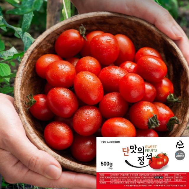 스테비아 방울토마토 단맛의 정석 500g X 2팩 (1kg) 당일수확, 500gX4팩(2kg)